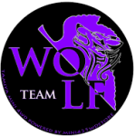 mini4wd wolf team
